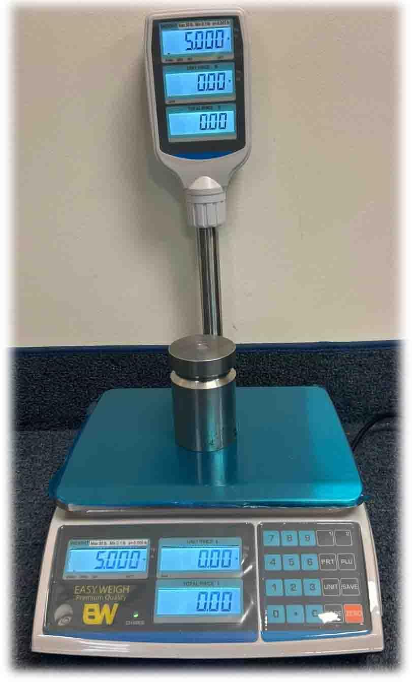 Easy Weigh Price Computing Scale