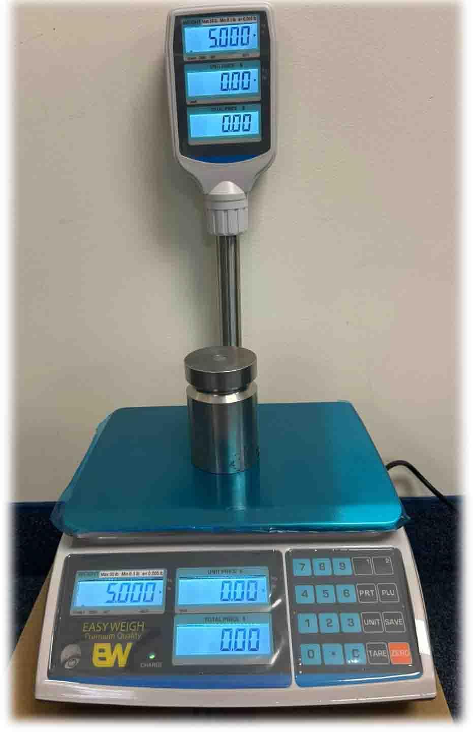 Easy Weigh Price Computing Scale